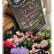 ヒメ日記 2025/02/18 20:45 投稿 杏樹 シャトーペトラ