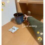 ヒメ日記 2025/02/20 06:59 投稿 杏樹 シャトーペトラ