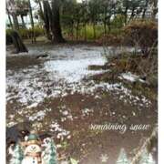 ヒメ日記 2025/03/19 18:52 投稿 杏樹 シャトーペトラ