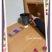 ヒメ日記 2025/03/24 06:41 投稿 杏樹 シャトーペトラ