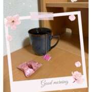 ヒメ日記 2025/04/02 08:31 投稿 杏樹 シャトーペトラ