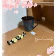 ヒメ日記 2025/04/04 06:21 投稿 杏樹 シャトーペトラ