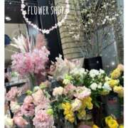 ヒメ日記 2025/04/05 20:01 投稿 杏樹 シャトーペトラ