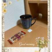 ヒメ日記 2025/04/07 06:43 投稿 杏樹 シャトーペトラ