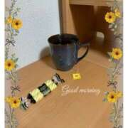 ヒメ日記 2025/04/08 07:24 投稿 杏樹 シャトーペトラ