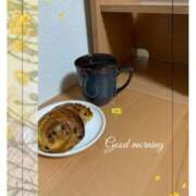 ヒメ日記 2025/04/11 07:17 投稿 杏樹 シャトーペトラ