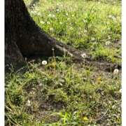 ヒメ日記 2025/04/21 18:12 投稿 杏樹 シャトーペトラ