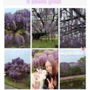 ヒメ日記 2025/04/23 20:02 投稿 杏樹 シャトーペトラ