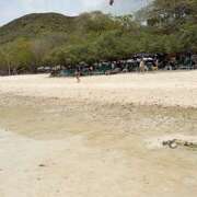 ヒメ日記 2025/04/30 15:34 投稿 杏樹 シャトーペトラ