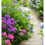 ヒメ日記 2025/05/14 18:55 投稿 杏樹 シャトーペトラ