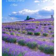 ヒメ日記 2025/06/11 18:03 投稿 杏樹 シャトーペトラ