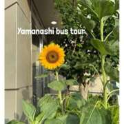 ヒメ日記 2025/06/19 22:01 投稿 杏樹 シャトーペトラ