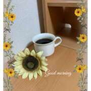 ヒメ日記 2025/06/20 09:34 投稿 杏樹 シャトーペトラ