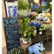 ヒメ日記 2025/06/20 19:46 投稿 杏樹 シャトーペトラ