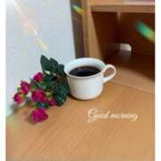 ヒメ日記 2025/06/26 06:17 投稿 杏樹 シャトーペトラ