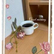 ヒメ日記 2025/06/27 07:11 投稿 杏樹 シャトーペトラ