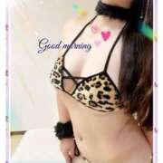 ヒメ日記 2025/07/04 06:32 投稿 杏樹 シャトーペトラ