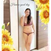 ヒメ日記 2025/07/10 08:52 投稿 杏樹 シャトーペトラ