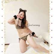 ヒメ日記 2025/11/11 07:25 投稿 杏樹 シャトーペトラ