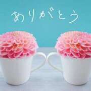 ヒメ日記 2025/03/19 14:30 投稿 もも セクシーキャット 神田店