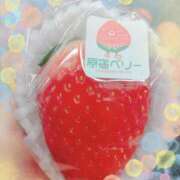 ヒメ日記 2026/02/22 09:55 投稿 もも セクシーキャット 神田店