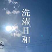 ヒメ日記 2024/03/03 19:50 投稿 ぽこ スピードエコ天王寺店