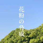 ヒメ日記 2024/05/05 14:50 投稿 ぽこ スピードエコ天王寺店