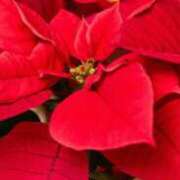 ヒメ日記 2024/12/16 16:14 投稿 さくらこ 出会い系人妻ネットワーク さいたま～大宮編