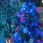 ヒメ日記 2024/12/16 17:25 投稿 さくらこ 出会い系人妻ネットワーク さいたま～大宮編