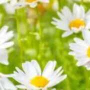 ヒメ日記 2025/02/02 21:15 投稿 さくらこ 出会い系人妻ネットワーク さいたま～大宮編