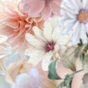 ヒメ日記 2025/02/24 09:25 投稿 さくらこ 出会い系人妻ネットワーク さいたま～大宮編