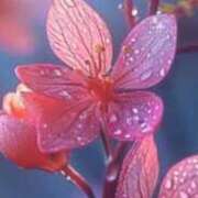 ヒメ日記 2025/03/02 13:25 投稿 さくらこ 出会い系人妻ネットワーク さいたま～大宮編