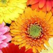 ヒメ日記 2025/03/02 14:45 投稿 さくらこ 出会い系人妻ネットワーク さいたま～大宮編