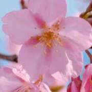 ヒメ日記 2025/03/09 02:22 投稿 さくらこ 出会い系人妻ネットワーク さいたま～大宮編