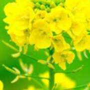 ヒメ日記 2025/03/31 23:41 投稿 さくらこ 出会い系人妻ネットワーク さいたま～大宮編