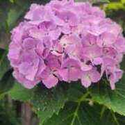 ヒメ日記 2025/06/21 09:52 投稿 さくらこ 出会い系人妻ネットワーク さいたま～大宮編