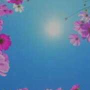 さくらこ 土曜日のお礼です。 出会い系人妻ネットワーク さいたま～大宮編