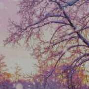 さくらこ お礼です。 出会い系人妻ネットワーク さいたま～大宮編