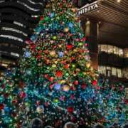 ヒメ日記 2025/12/14 22:12 投稿 さくらこ 出会い系人妻ネットワーク さいたま～大宮編