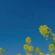 ヒメ日記 2026/03/15 23:02 投稿 さくらこ 出会い系人妻ネットワーク さいたま～大宮編