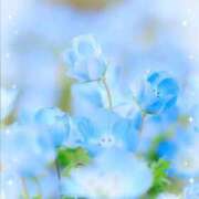 ヒメ日記 2025/08/08 15:12 投稿 さいか タレント倶楽部Around40