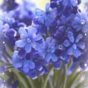 ヒメ日記 2025/08/10 20:12 投稿 さいか タレント倶楽部Around40