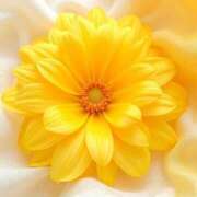 ヒメ日記 2025/08/20 11:36 投稿 さいか タレント倶楽部Around40