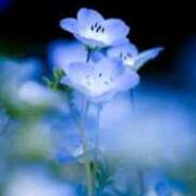 ヒメ日記 2025/08/30 11:34 投稿 さいか タレント倶楽部Around40