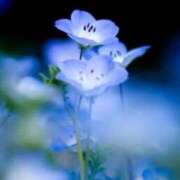 ヒメ日記 2025/09/27 17:00 投稿 さいか タレント倶楽部Around40