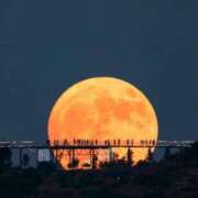 ヒメ日記 2025/11/05 15:38 投稿 さいか タレント倶楽部Around40