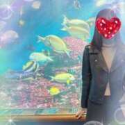 ヒメ日記 2025/12/26 15:32 投稿 さいか タレント倶楽部Around40