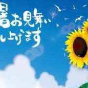 ヒメ日記 2024/08/05 16:01 投稿 のぞみ 即アポ奥さん〜名古屋店〜