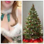 ヒメ日記 2024/12/11 11:33 投稿 のぞみ 即アポ奥さん〜名古屋店〜