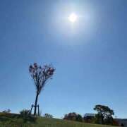 ヒメ日記 2025/11/15 14:40 投稿 加瀬はんな すべりん棒シャンプー娘。（横浜ハレ系）